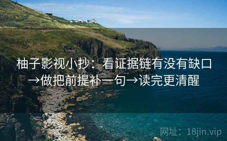 柚子影视小抄：看证据链有没有缺口→做把前提补一句→读完更清醒