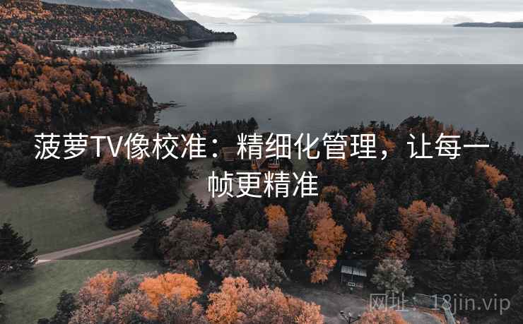 菠萝TV像校准：精细化管理，让每一帧更精准