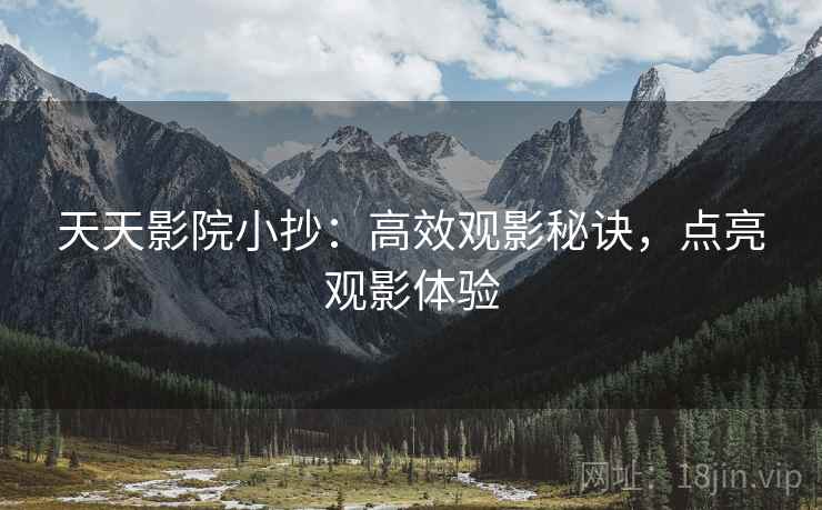 天天影院小抄：高效观影秘诀，点亮观影体验