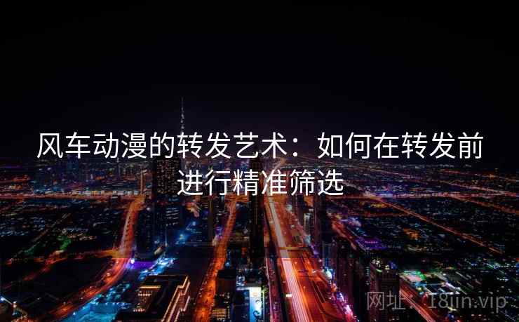 风车动漫的转发艺术：如何在转发前进行精准筛选  第2张